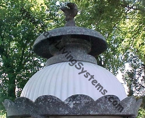 yorktown top